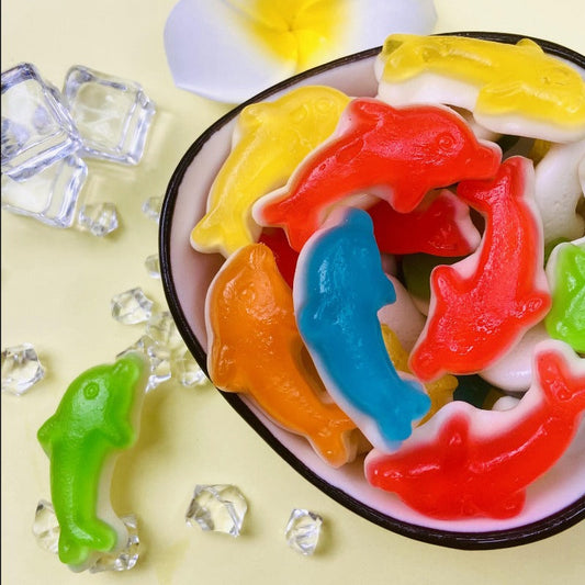 YX-Colorful Dolphins(Sweet)